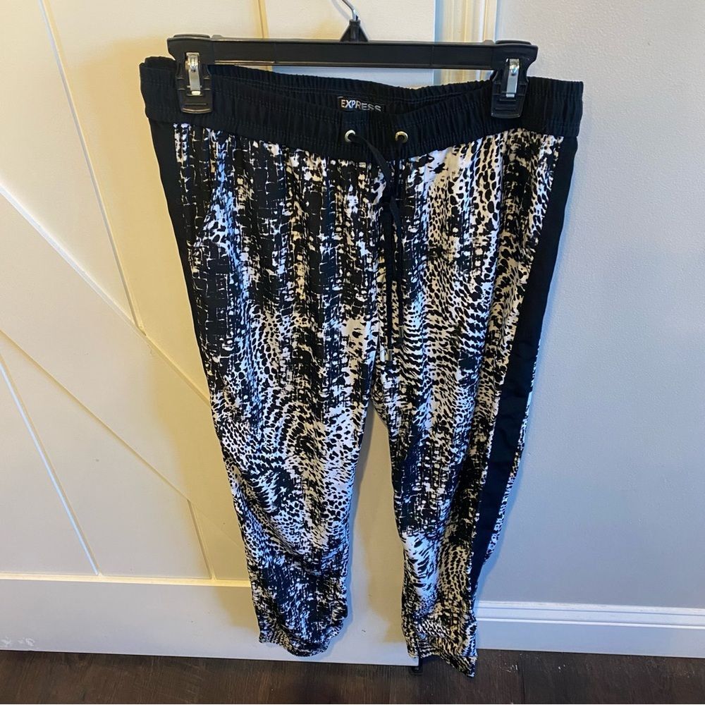 NWOT Express Joggers